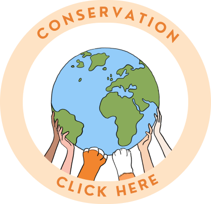 Conservation