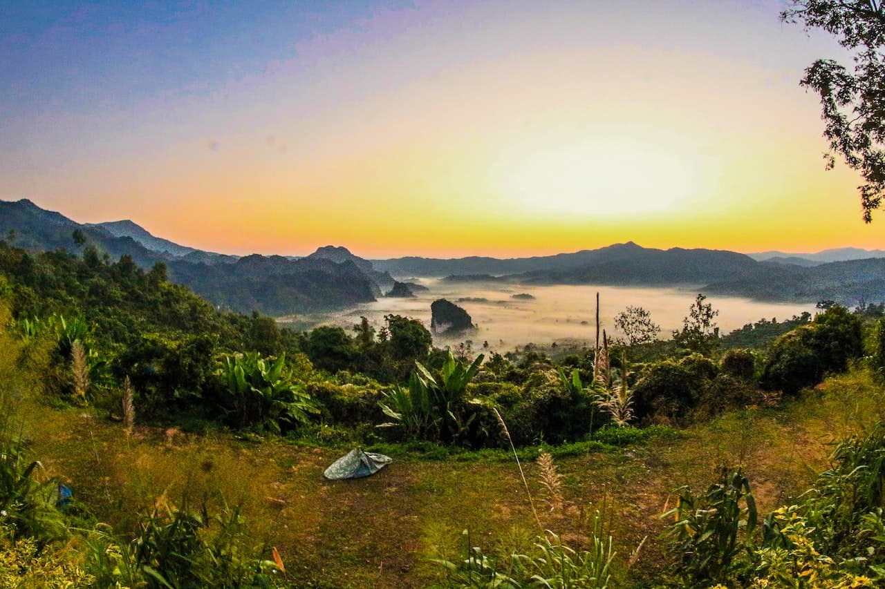 Wide view of forest in Pahang