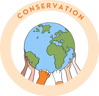 conservation
